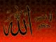   mramrmoussa