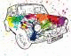   tatamego