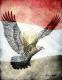   rabah_youssef