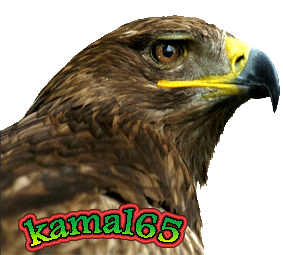   kamal65_65
