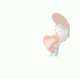   Abdoo_sat