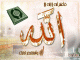   newhulkhuithem