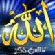   Tamer Sakr