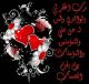   tetoooo0