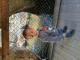   ADNEN78