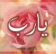   mahmoudelking