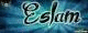   eslam m