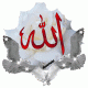   ahmedl82