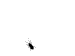   basem_sat2000