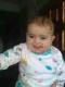   seanest2010
